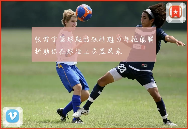 张常宁篮球鞋的独特魅力与性能解析助你在球场上尽显风采